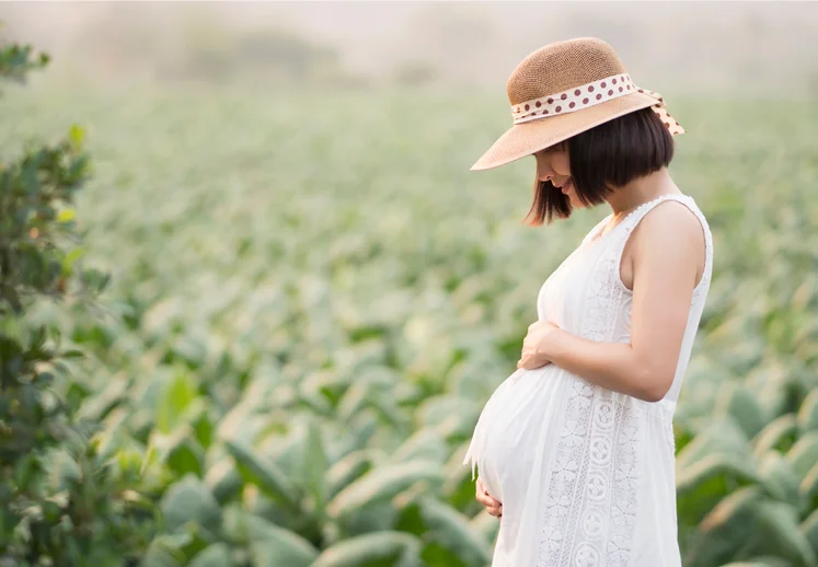certificado de nacimiento online - Registro Civil de Jaén